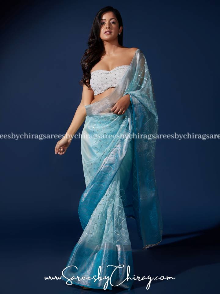 Sky Blue Embroidery Sequence Work Organza Saree in Pure Elegance - Vedica