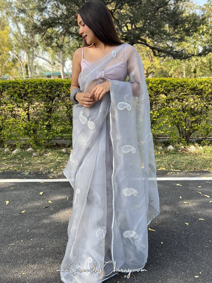 Extremely Versatile and opulent Grey colour saree